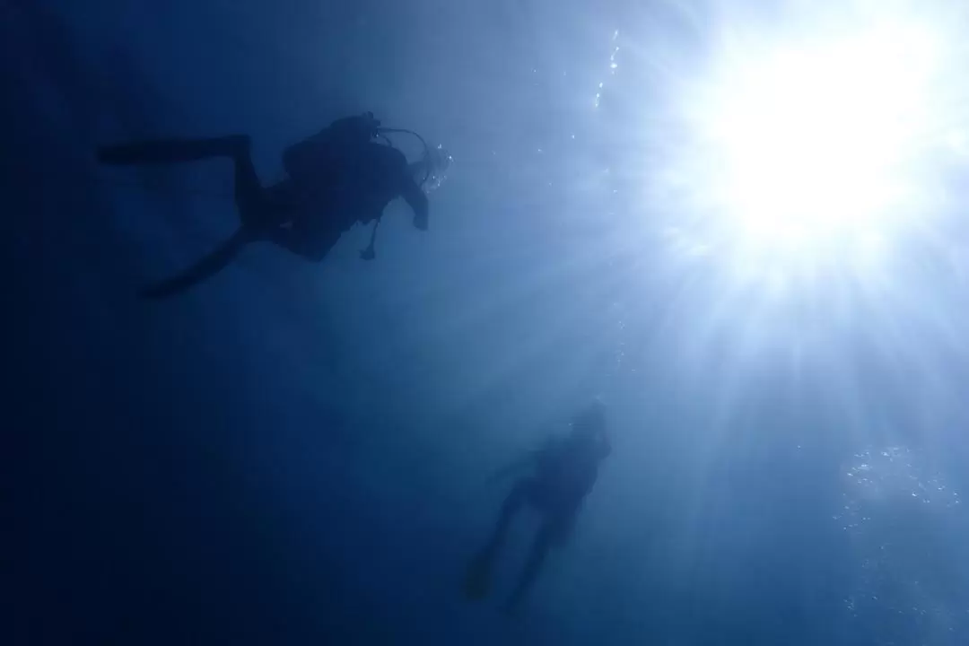 Sunset & Night Diving with BBQ Dinner in Tunku Abdul Rahman Island