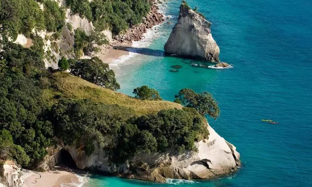 Coromandel Town Guided Day Tour from Auckland