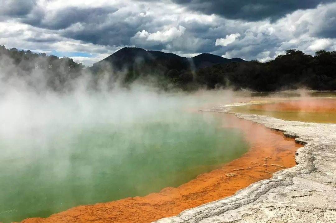 Hobbiton and Rotorua Day Tour with Wai-O-Tapu from Auckland