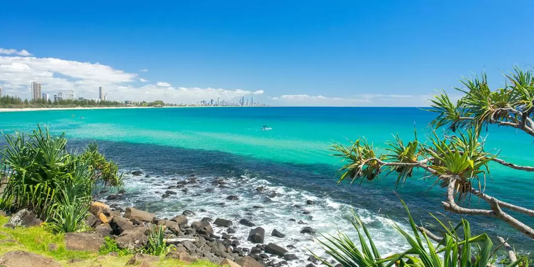 Mystery Picnic in Burleigh