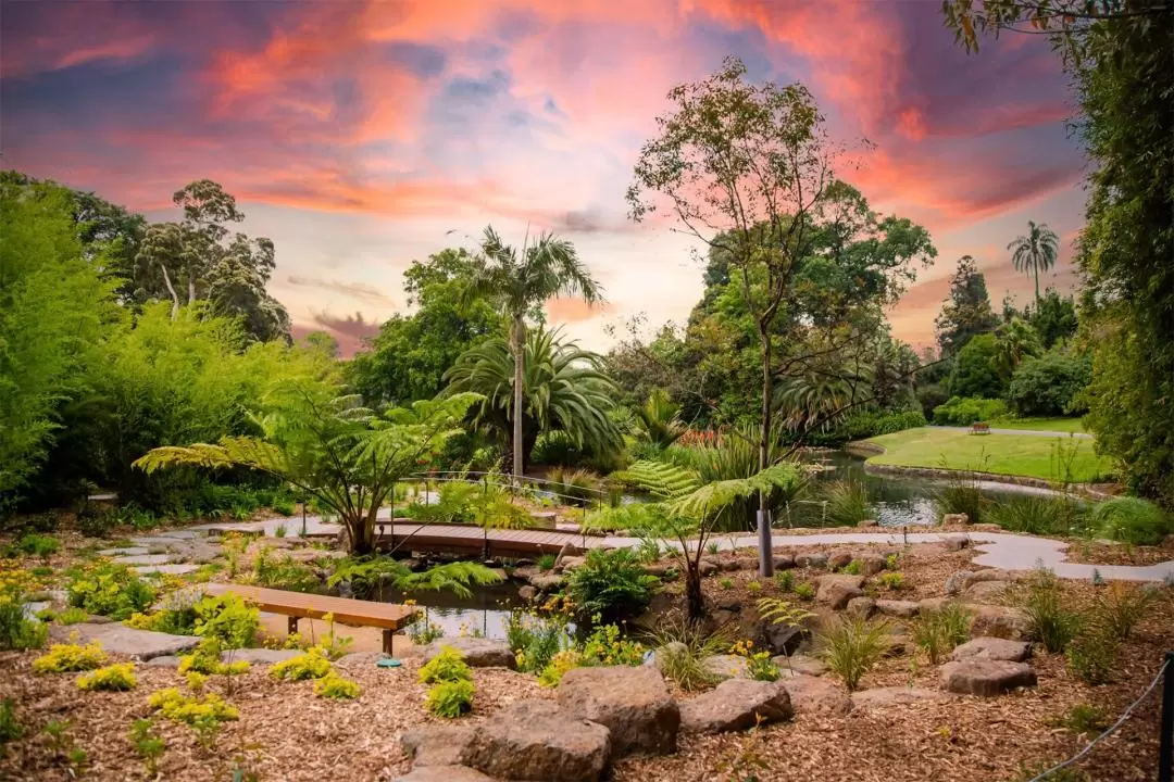 Royal Botanic Gardens Cranbourne Tour