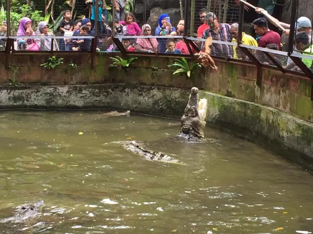 Melaka Crocodile and Recreation Park Ticket