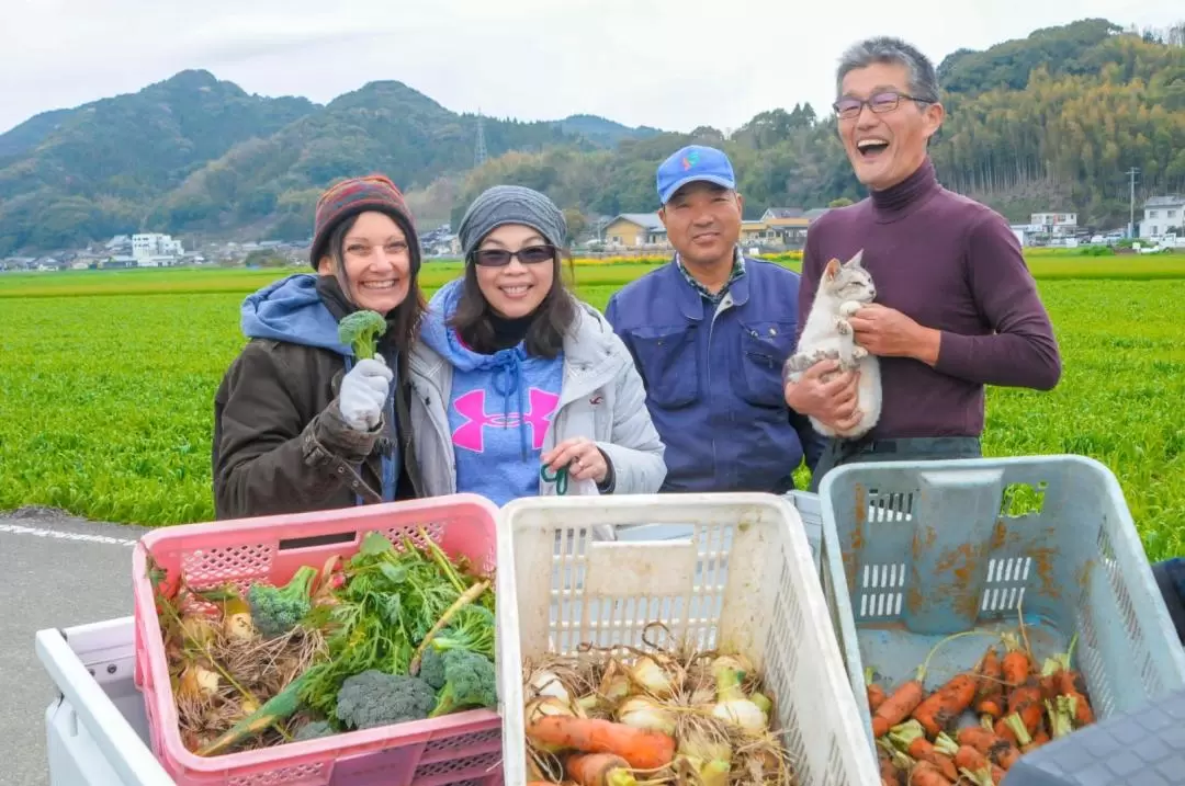 農場 仔牛エサやり・野菜の収穫・押し寿司づくり体験（佐賀）