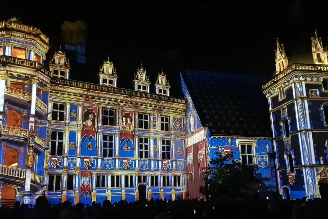 Chateau Royal de Blois Admission in Blois