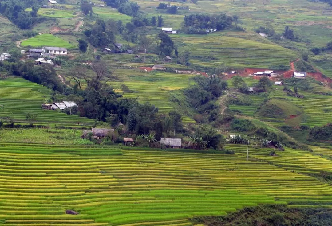 3D2N Sapa Villages and Ham Rong Mountain Trekking Tour