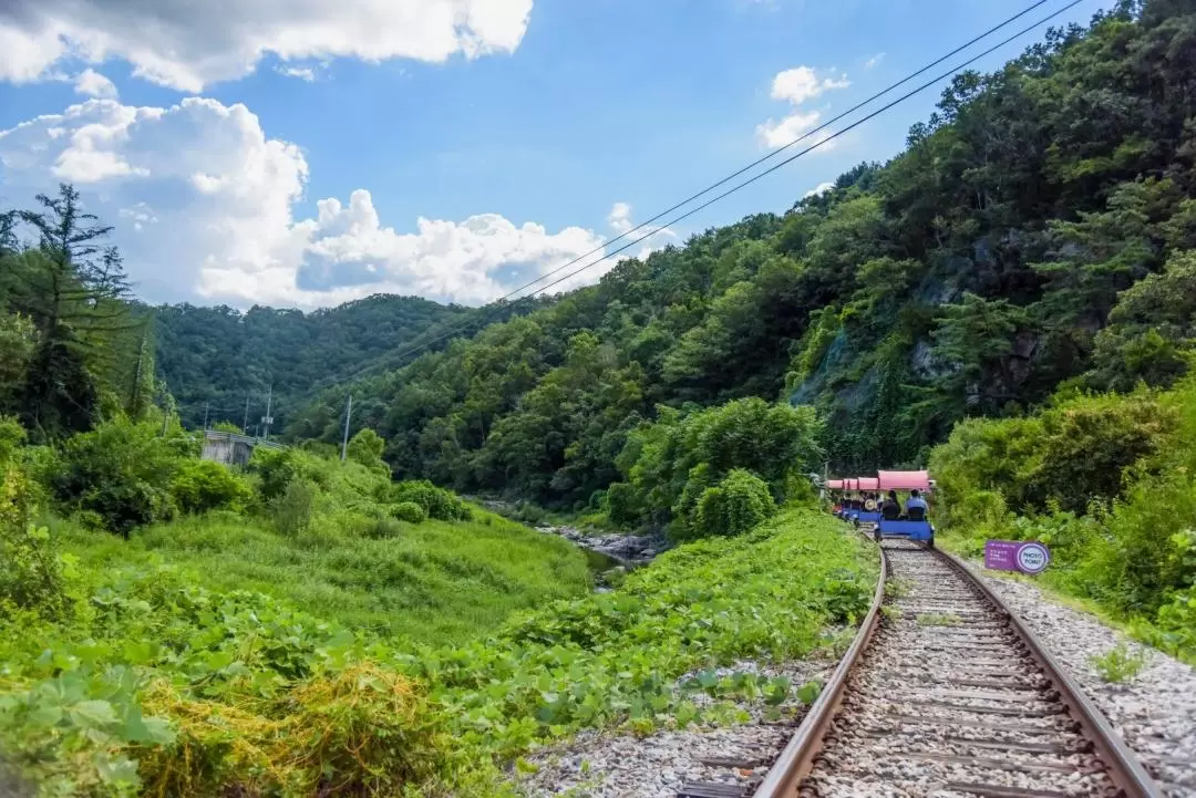 Gangchon Rail Bike Ticket