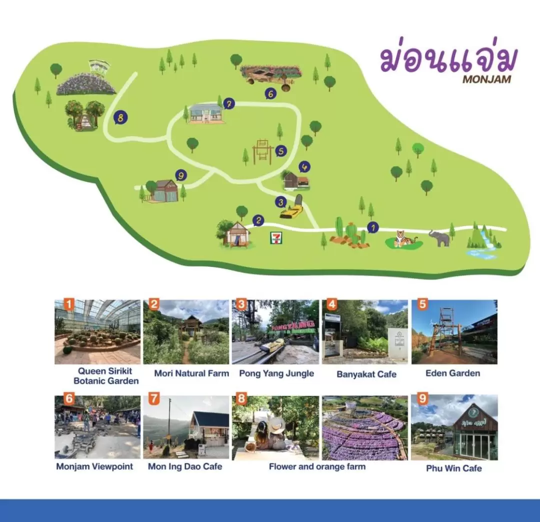 Shared van transter to Monjam, Maekampong, Doi Inthanon, and more