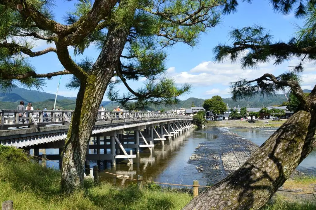 嵐山竹林 & 猴子公園 & 秘境徒步之旅