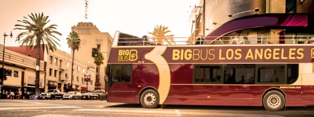 洛杉矶 Big Bus 随上随下观光巴士之旅（敞篷）