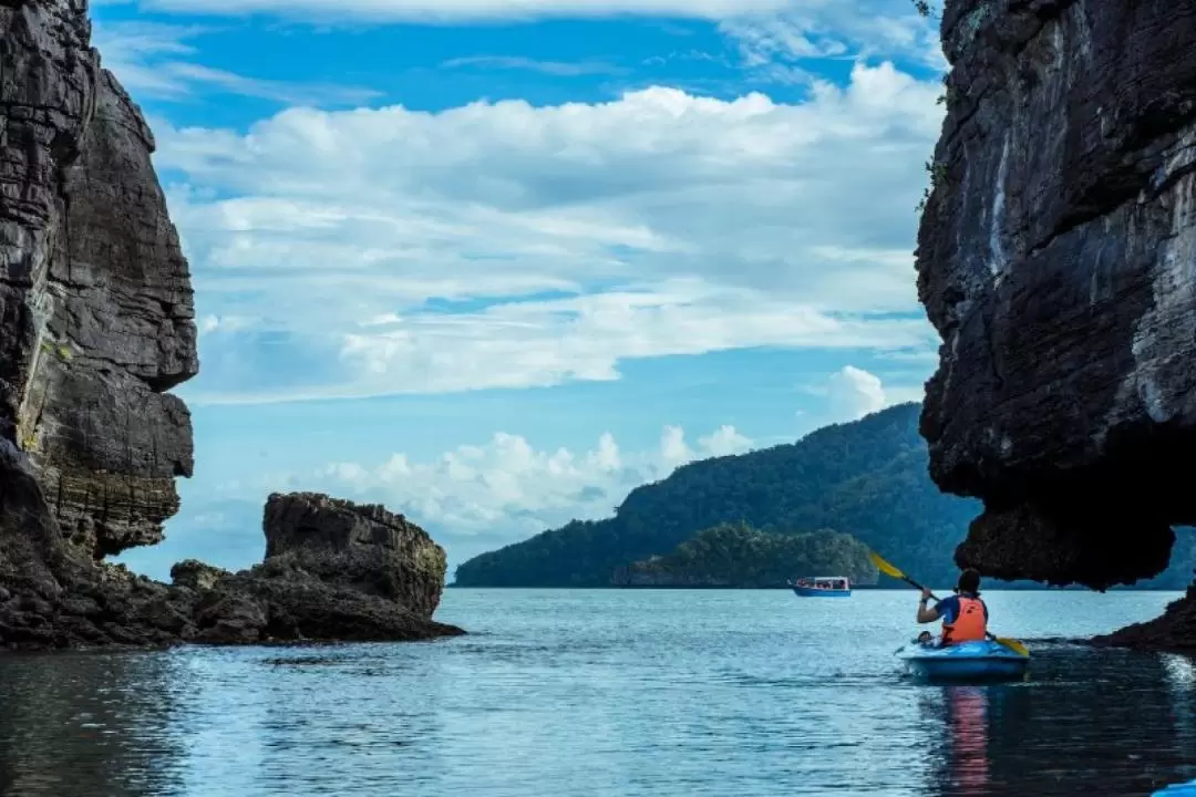 Private Mangrove Kayak Tour with Transfers and Meal in Langkawi