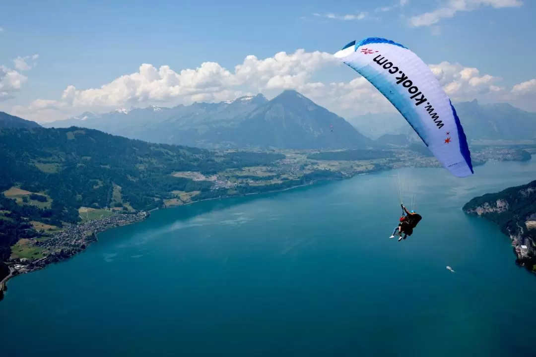 The Golden Eagle Tandem Paragliding Experience in Interlaken