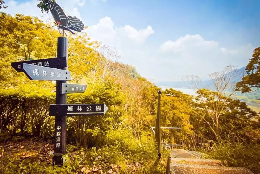 Sightseeing chartered car transfer｜Taoyuan half-day and one-day tour: Daxi Old Street & Shimen Reservoir & Bade Luoyu Song｜Departure from Taipei・Taoyuan