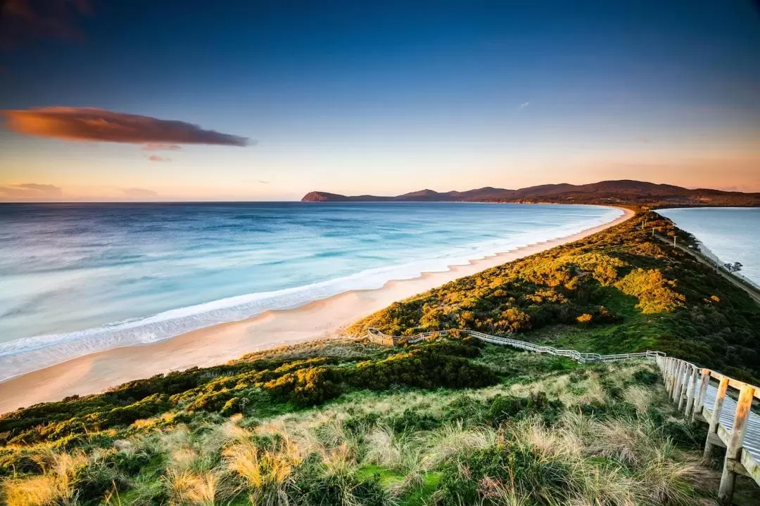 Bruny Island Day Tour from Hobart