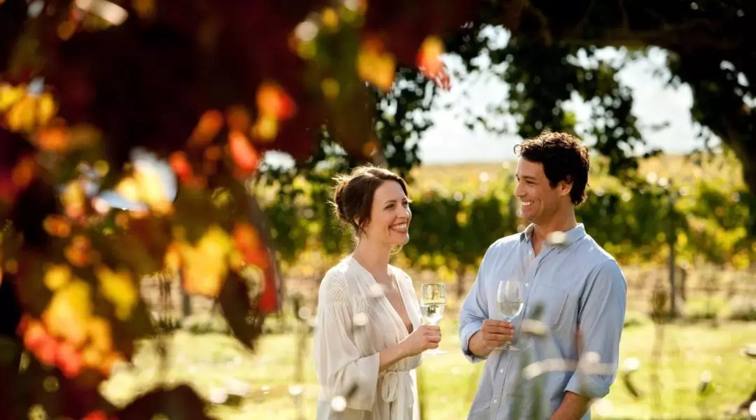 Discover the Yarra Valley Food and Wine Day Tour from Melbourne