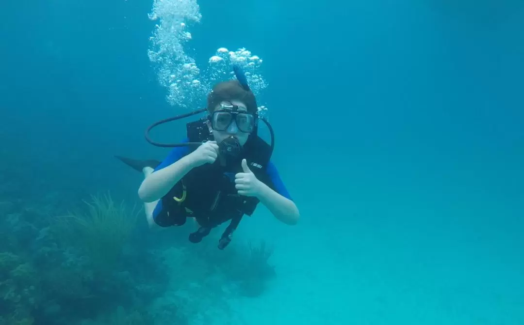 Beginner Scuba Diving Experience in Bali