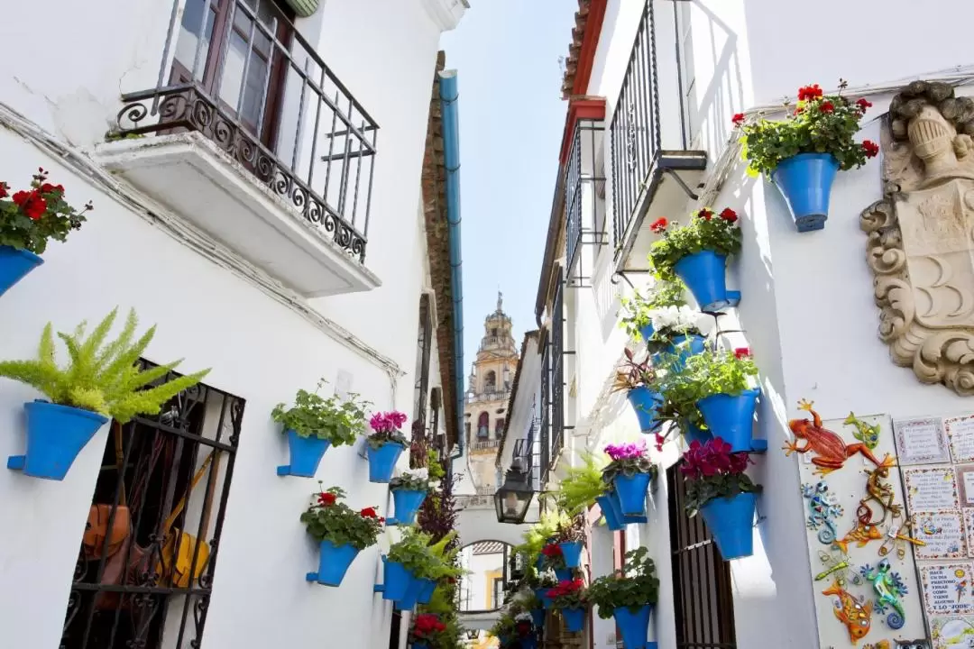 Cordoba Mosque-Cathedral and Jewish Quarter Guided Walking Tour