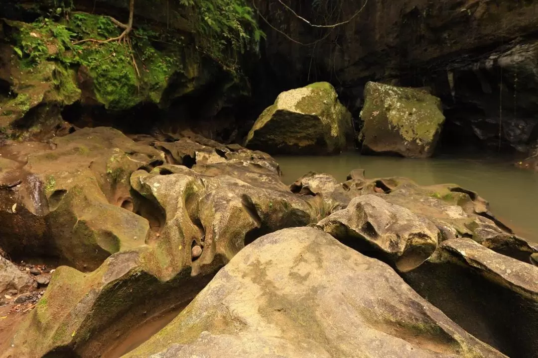 Beji Guwang Hidden Canyon Trekking Experience in Bali