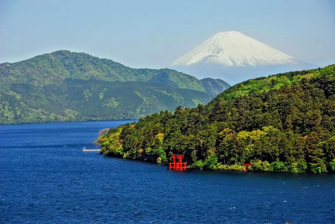 Mt. Fuji, Lake Ashi, and Owakudani Day Tour from Tokyo