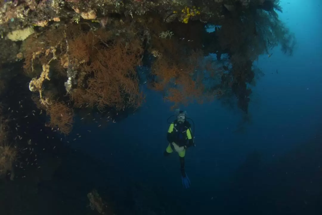 2 dives at USAT Liberty Wreck Tulamben with PADI 5 Star Dive Resort