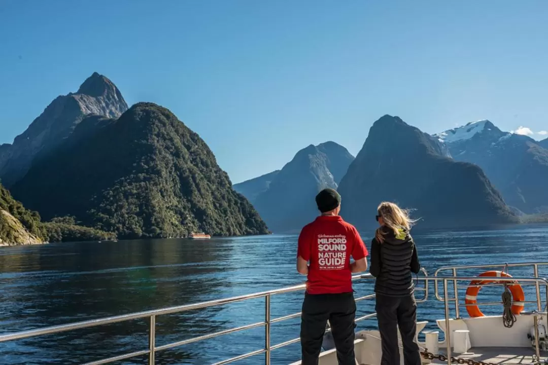 Milford Sound Nature Cruise by Southern Discoveries