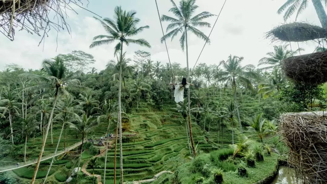 Alas Harum Bali in Tegallalang Ubud