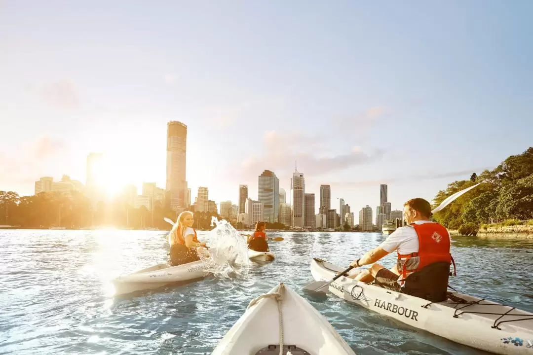 Twilight Kayak Adventure Experience in Brisbane