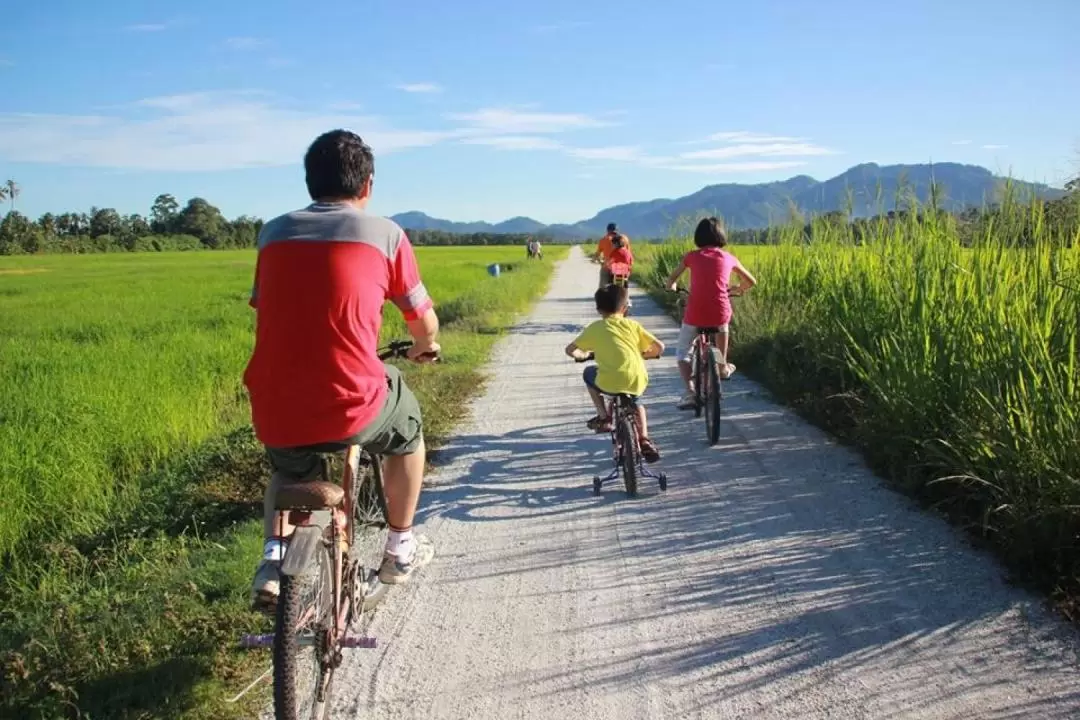 Balik Pulau Cyling Tour with Local Villages Visit in Penang