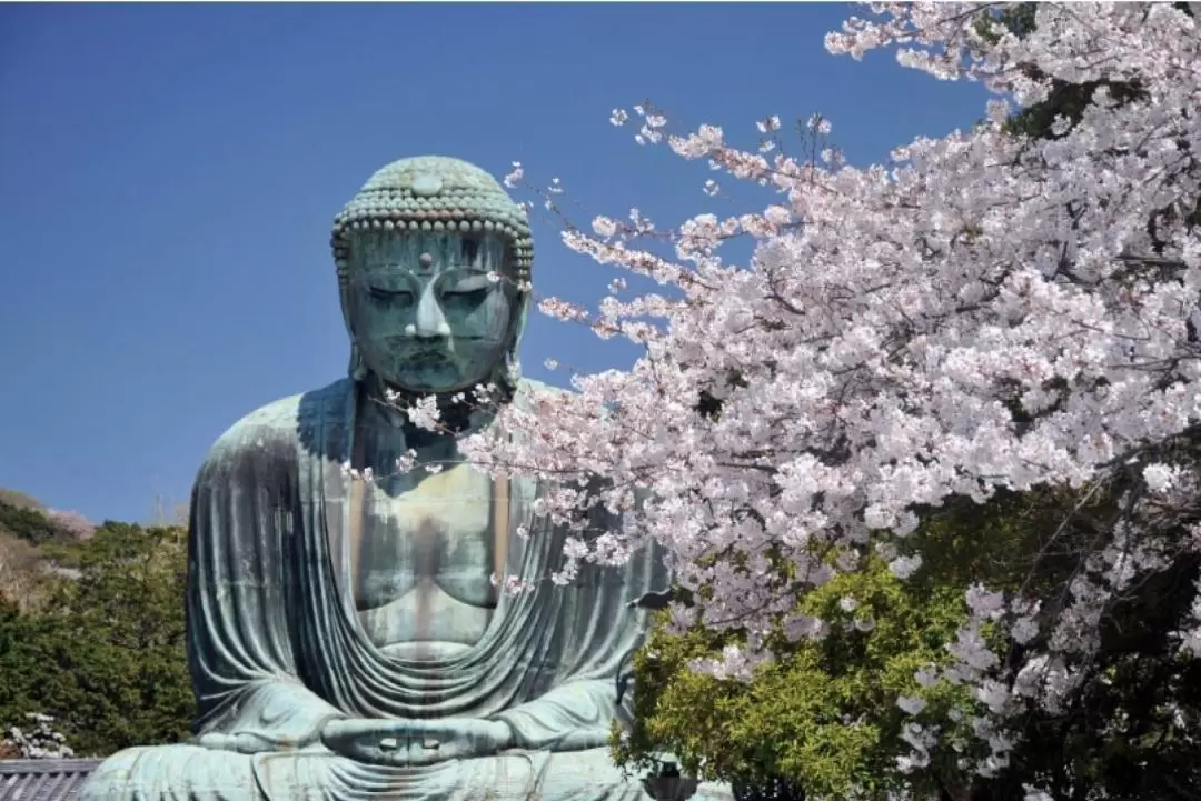 Kamakura Half Day Private Walking Tour 