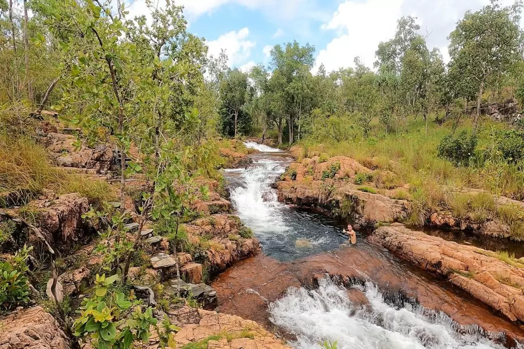 Litchfield Small Group Day Tour from Darwin