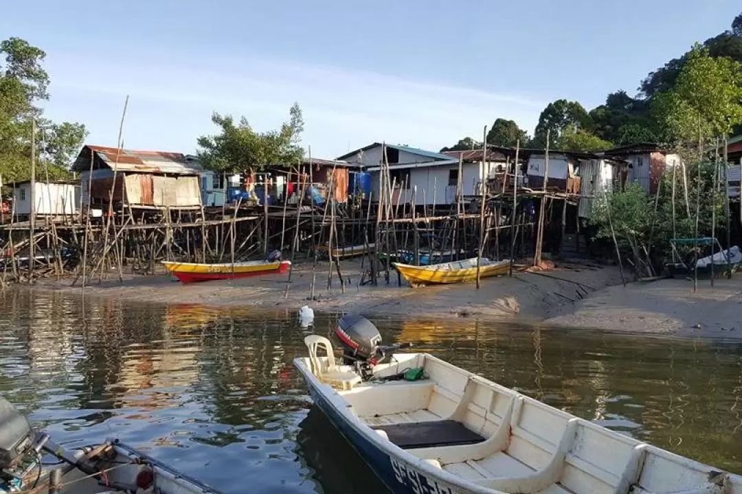 Dolphin Watching Mangrove Cruise in Kuching