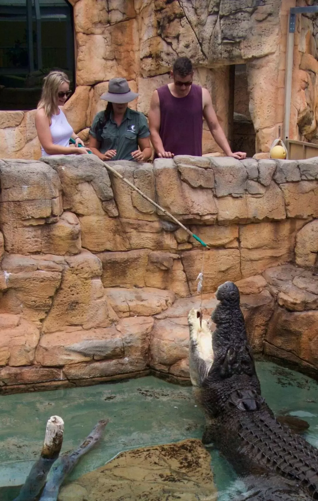 Big Croc Feeding and Guided Tour in Darwin