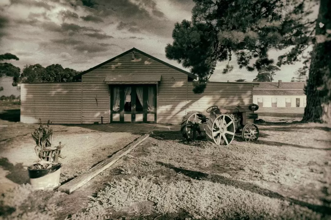 Iconic Guided Ghost Tours in Melbourne