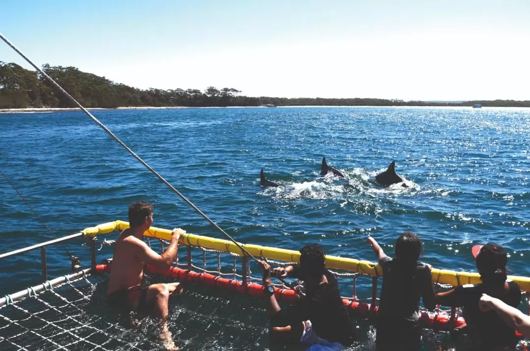 Jervis Bay Summer Boom Netting