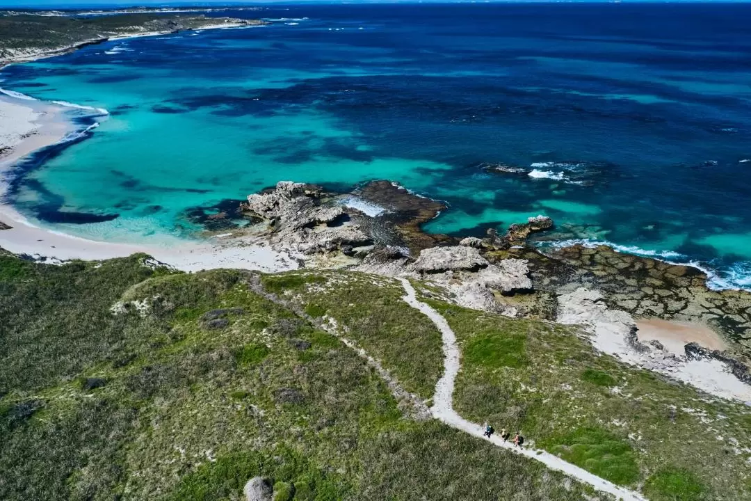 羅特內斯特島（Rottnest Island）West End漫步導覽之旅