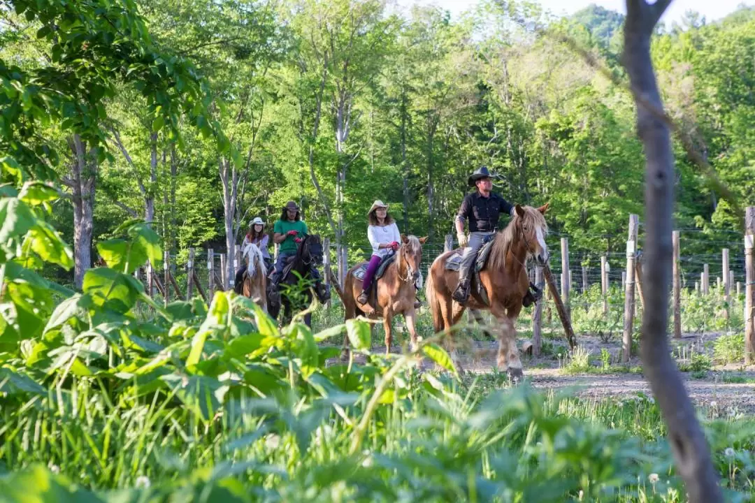 Sapporo Horseback riding experience! 