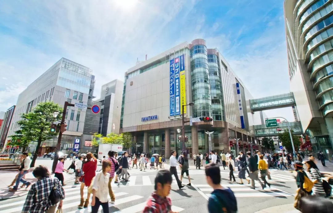 Fukuoka Tenjin Area and Tosu Premium Outlets Private Shopping Trip (with Optional Hot Spring Experience)