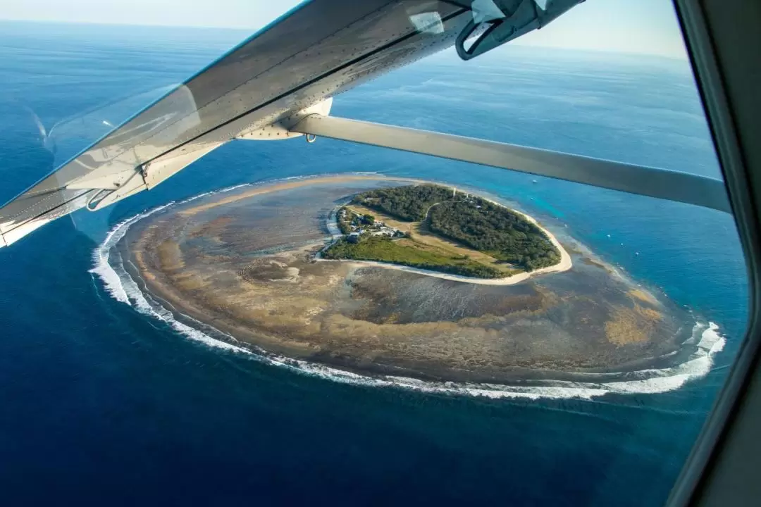 Lady Elliot Island Great Barrier Reef Tour from Brisbane