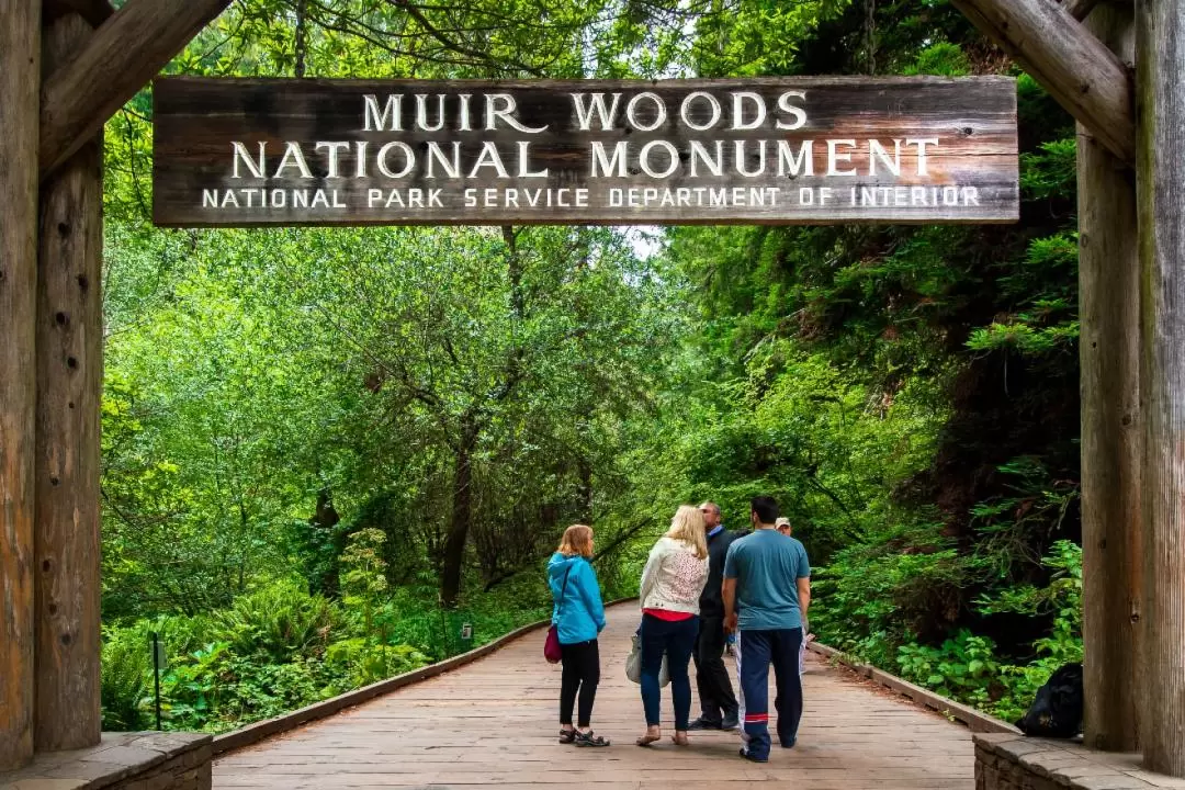 Muir Woods Redwood Forest and Sausalito Tour from San Francisco