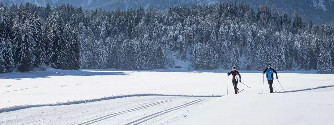 로바니에미 라플란드 크로스컨트리 스키 체험