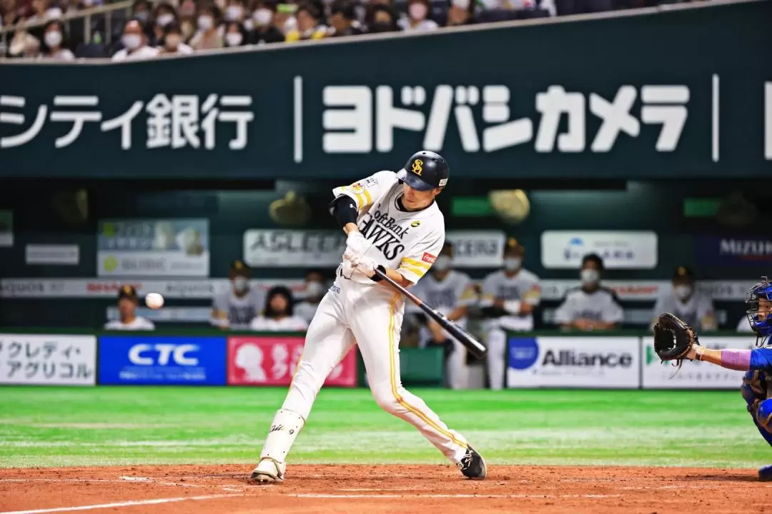 福岡軟銀鷹隊棒球比賽門票