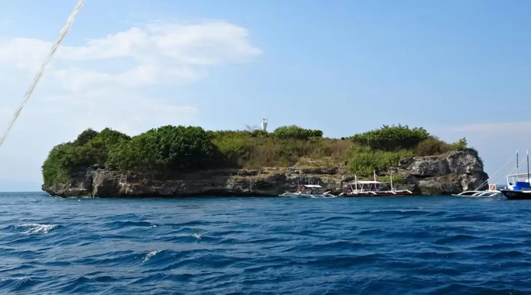 Moalboal Cebu Island Hopping and Canyoneering Experience