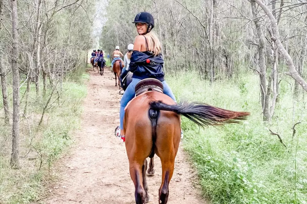 Horseback Bushland Trail Ride in Hunter Valley