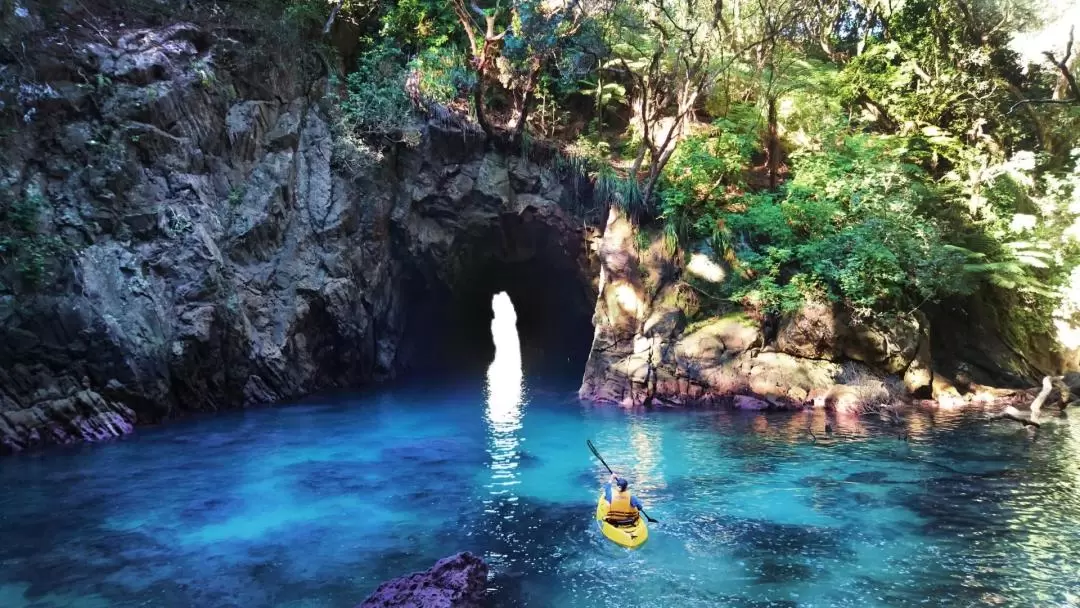 Whenuakura Island (Donut Island) Kayaking Tour from Hamilton