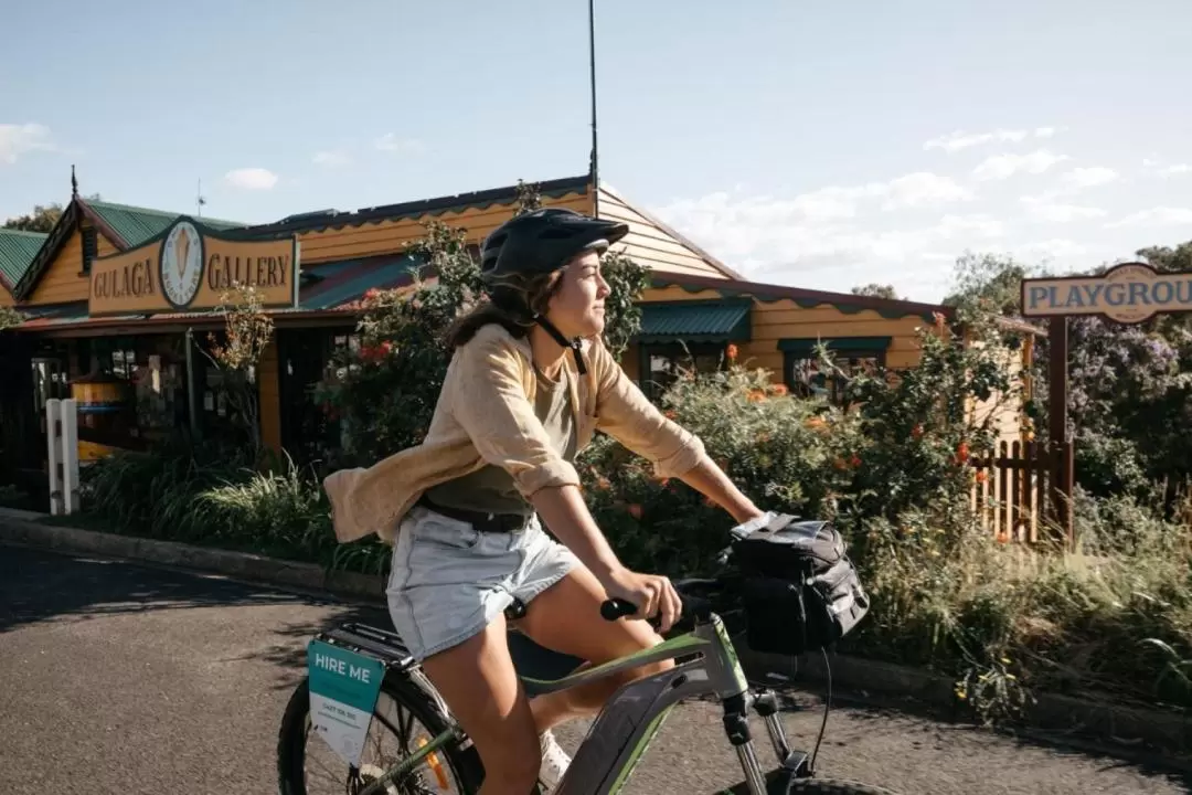 Narooma to Tilba e-Bike Hire (Return transfers) 