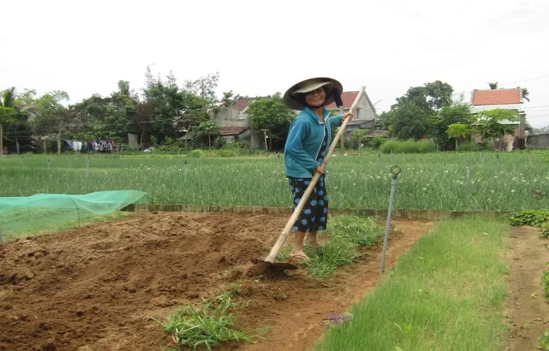 Tra Que Village, Thanh Ha Pottery Village, and Coconut Forest Countryside Tour with Aodai Rider