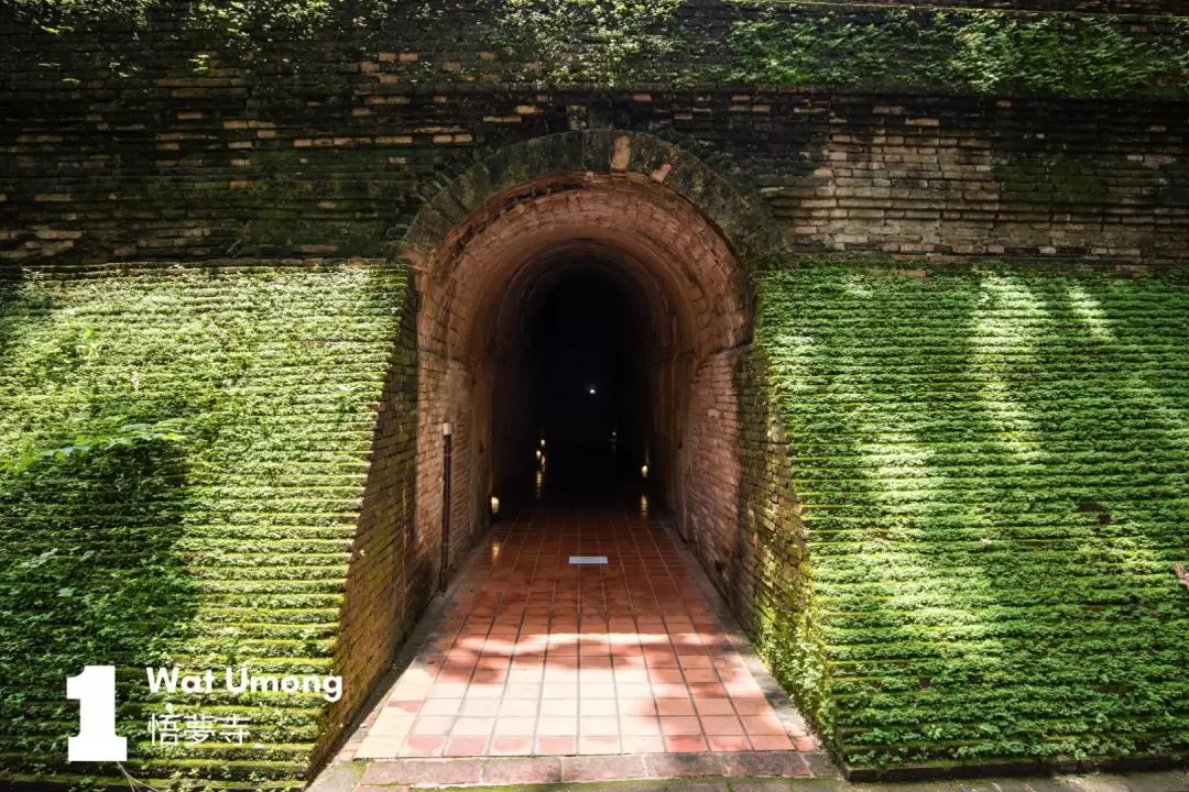 Doi Suthep and Wat Umong Night Tour