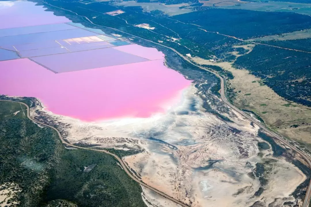 Hutt Lagoon Pink Lake Scenic Flight Experience from Kalbarri 