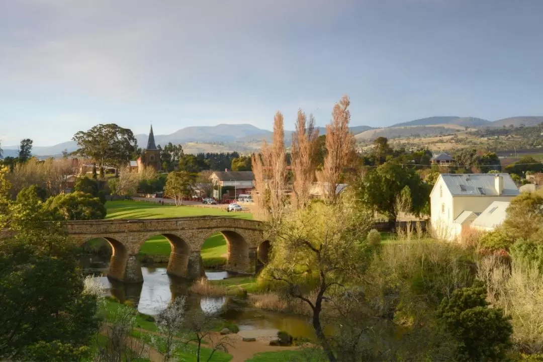 Hobart Hop-On Hop-Off City Loop Tour