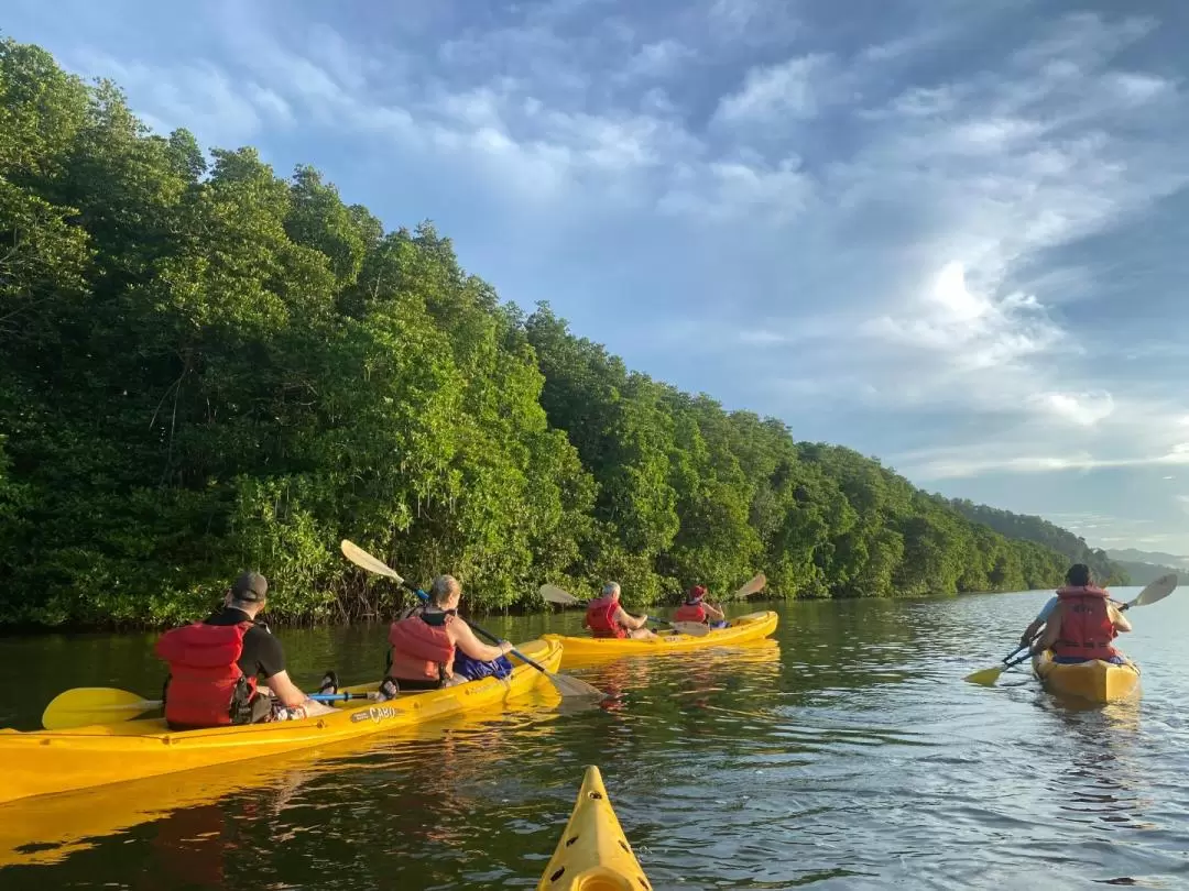 Mangrove Kayaking Serusup Tuaran Sunset and Sunrise Tour