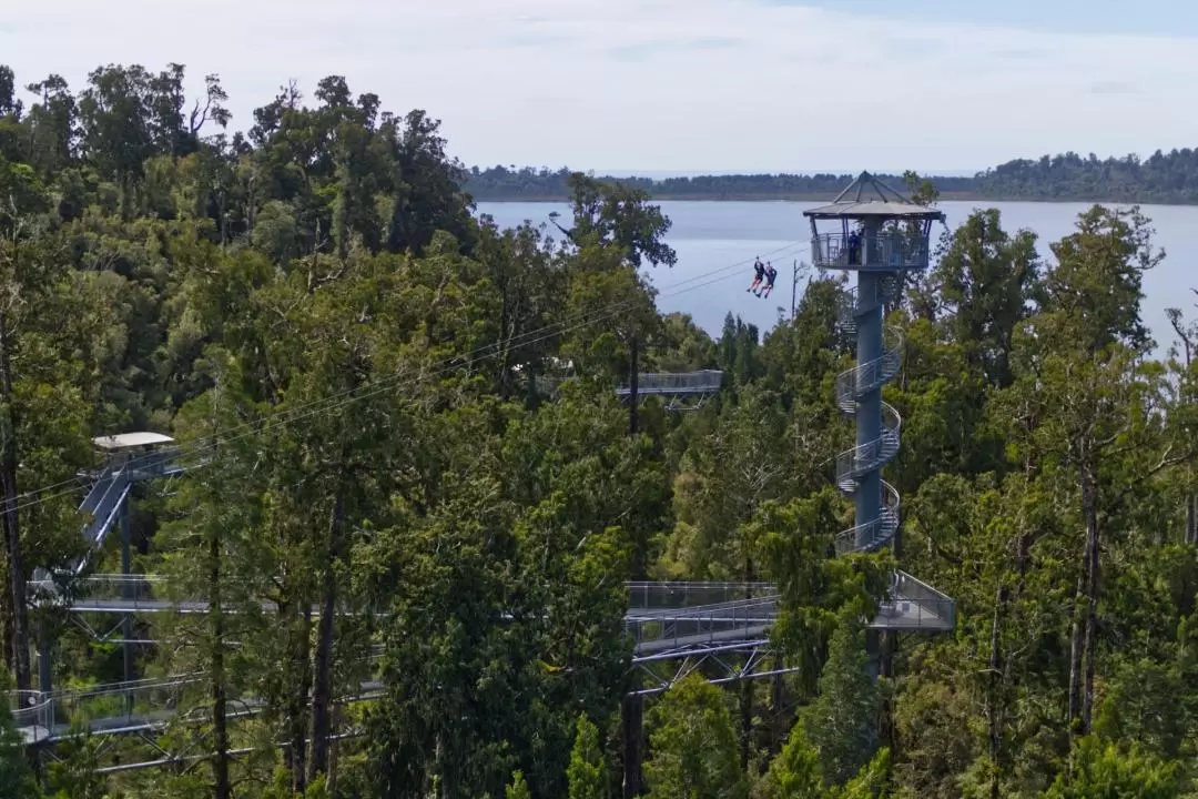 West Coast Tree Top Tower Zipline & Walkway